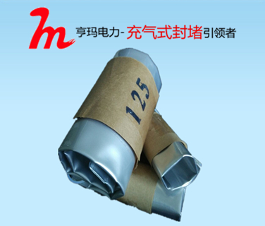 多根电缆管道封堵密封  IDSS