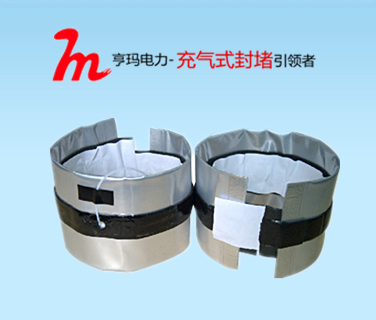 多根电缆管道封堵密封  IDSS