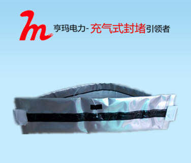 多根电缆管道封堵密封  IDSS