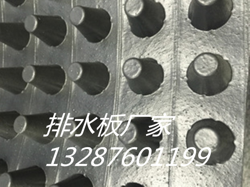 欢迎光临、丽水排水板价格+型号齐全！！
