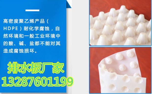 欢迎光临、荷塘区蓄水板价格+型号齐全!!