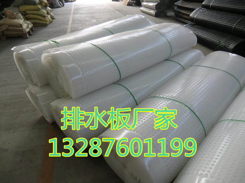 汕头塑料排水板价格(生产厂家欢迎您!)