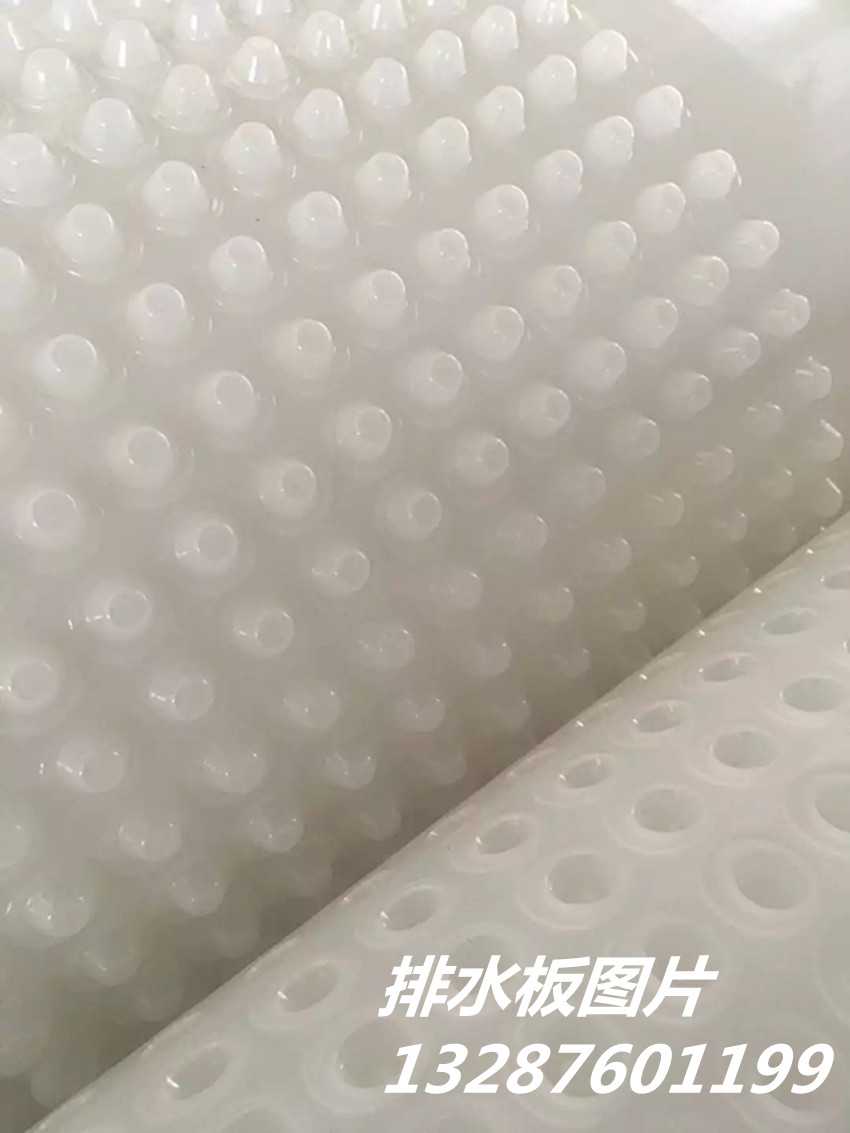 鹤岗塑料排水板价格/生产厂家欢迎您!