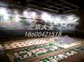 专业大比例沙盘模型制作、古建筑沙盘定制