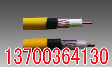 大同铁路电缆PTYV规格30X1  大同30X1铁路