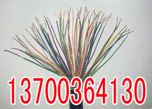 衡水PZYV22,PZYY23电缆电话6X1  衡水6X1PZY