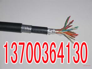 绍兴PZYV22,PZYY23电缆技术14X1  绍兴14X1PZ