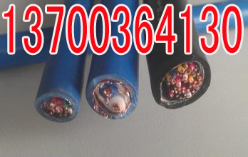 吕梁ZRCPTYA23信号电缆国标12X1  吕梁12X1ZR