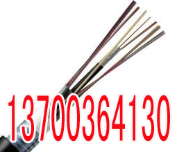 宜宾铁路电缆PTYV规格6X1  宜宾6X1铁路电