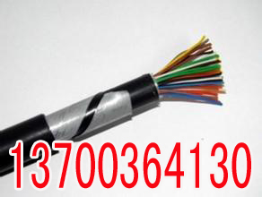 汉中PZYV22,PZYY23电缆特点61X1  汉中61X1PZ