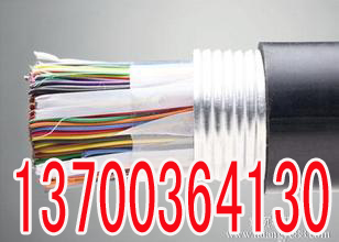 铁岭PTYA22铁路信号电缆工艺21X1  铁岭21X1PT