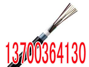 六安铁路信号电缆PTYA23价格30X1