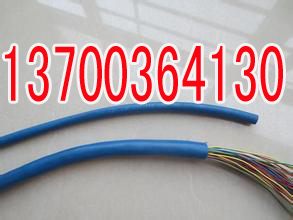 威海PTYA22铁路信号电缆工艺56X1