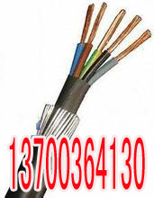白银PZYA铁路信号电缆工艺37X1  白银37X1PZ