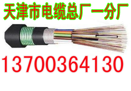 雅安PZYA23信号电缆现货8X1