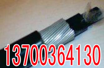 黄南电气化铁路电缆PTYA23现货33X1  黄南33X1电气