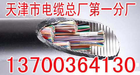白银PTYA22铁路信号电缆技术28X1  白银28X1PT