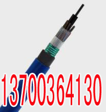 承德WDZPTYA22电缆技术14X1