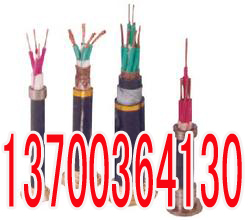 衡水PZYV22,PZYY23电缆电话6X1  衡水6X1PZY