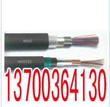 衡阳高铁信号电缆PTYY23国标42X1