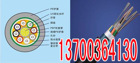 清远PTYA22铁路信号电缆工艺21X1