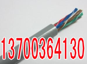 荆州WDZPTYA22电缆电话30X1  荆州30X1WD