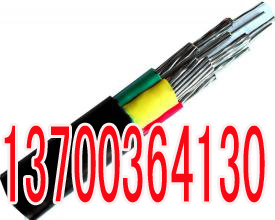 大同铁路电缆PTYV规格30X1  大同30X1铁路