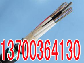 重庆铺设信号电缆PTYA23工艺56X1