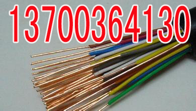南宁PZYA23信号电缆现货8X1  南宁8X1PZY