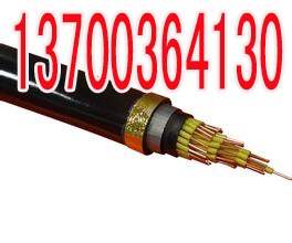 衡水PZYV22,PZYY23电缆电话6X1  衡水6X1PZY