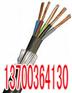 韶关轨道信号电缆PTYA23产品42X1