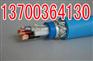 恩施PZYV22,PZYY23电缆结构52X1