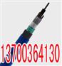 临沂轨道信号电缆PTYA23外径21X1