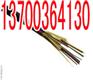 鹤岗铺设信号电缆PTYA23特点42X1