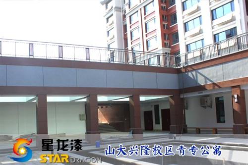 星龙漆,水包水,水包水  多彩漆水包水  水包水多彩涂料