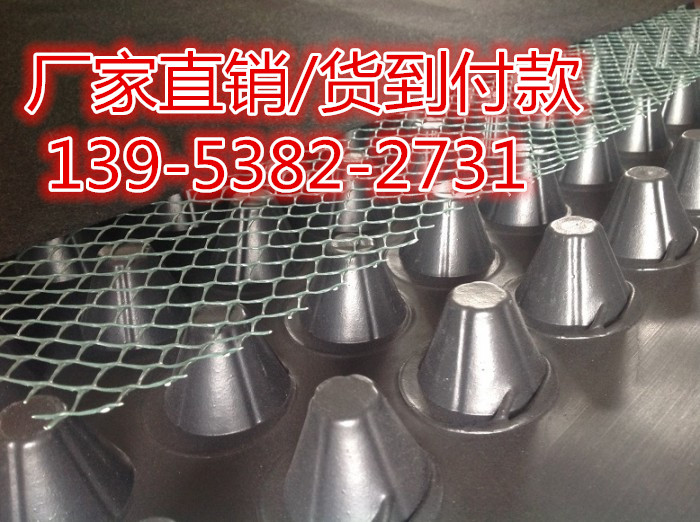 许昌20聚乙烯塑料保护板PE防水板