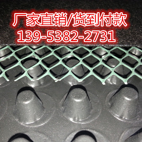 阳江凹凸型塑料排水板/网状蓄水板