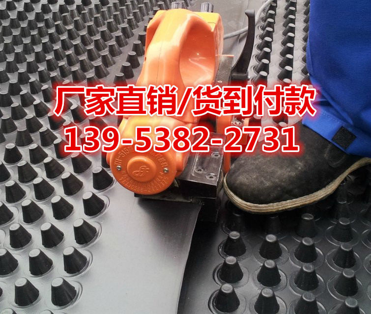 个旧耐根穿刺保护板PE沥水板