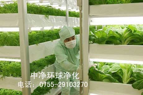 组培实验室、组培净化车间设计安装  组培实验室设计安装  组培无尘车间