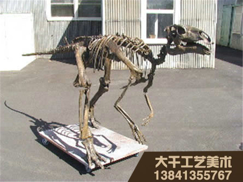 抚顺价廉物美的古生物模型上哪买，古生物模