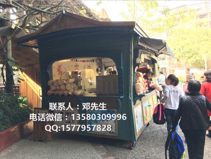 商场特色小餐车 摊位售货车 户外零售花车  商场餐车