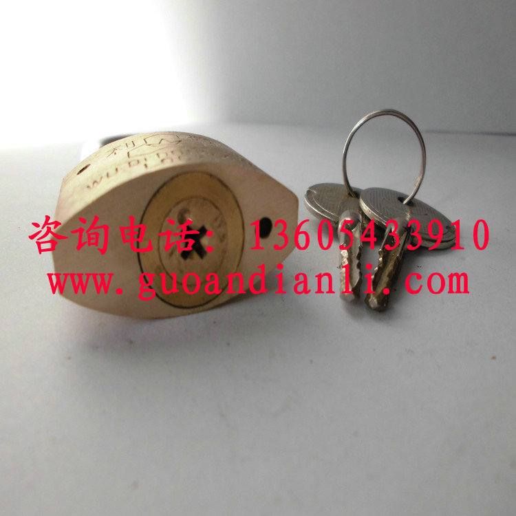 上杭县利德电力锁钥匙通用用心去做&nbsp;&nbsp;表箱锁&nbsp;&nbsp;电力表箱锁&nbsp;&nbsp;电力挂锁