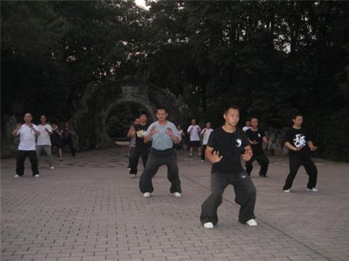 陈式太极拳56式|武汉 陈超太极会|陈式  陈式太极拳74式  陈式太极拳精要1