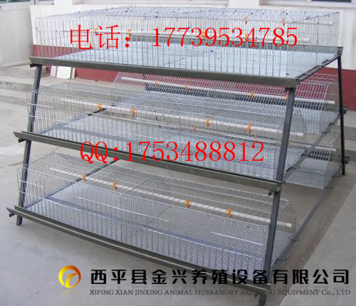 金兴三层/四层阶梯式蛋鸡镀锌笼  鸡笼  蛋肉鸡笼