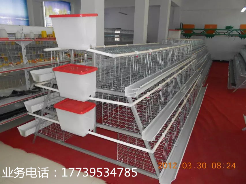 三层五门阶梯式蛋鸡镀锌鸡笼