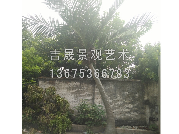 仿真椰子树怎么装：哪里有提供划算的仿真椰  仿真椰子树价格  仿真椰子树供应商