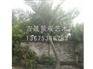 潍坊好的仿真椰子树提供商——郑州仿真椰子