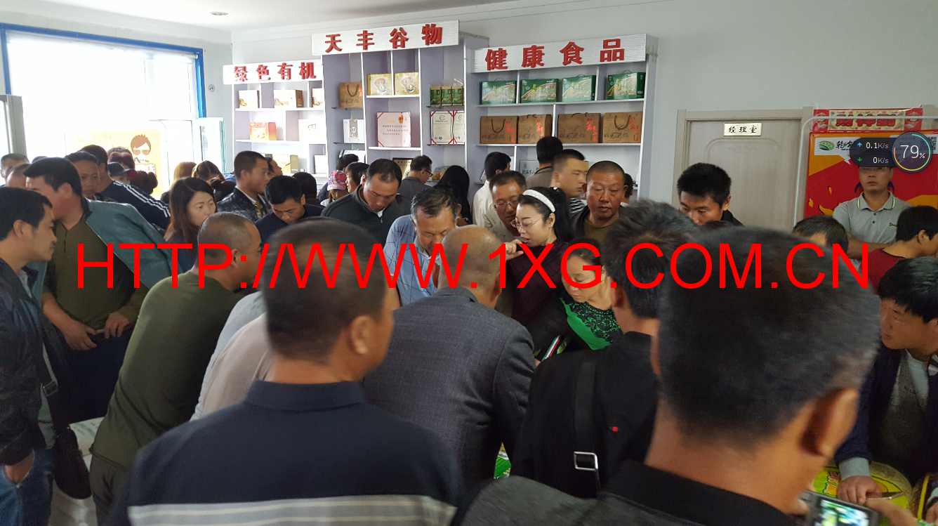 乾安长岭谷子订单回收，乾安长岭谷子订单种植收购  乾安长岭谷子回收  乾安长岭谷子收购