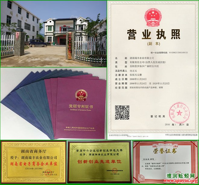 蚯蚓批发_大平三号蚯蚓种批发_送养殖技术