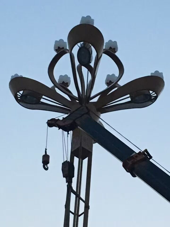 新款LED玉兰灯厂家  路灯生产厂家  多火玉兰灯  江苏路灯厂家